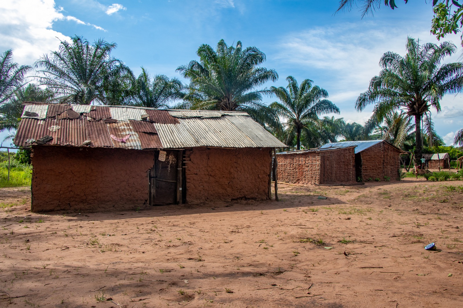 Village houses made with pau a pique in Lunda Norte, Angola