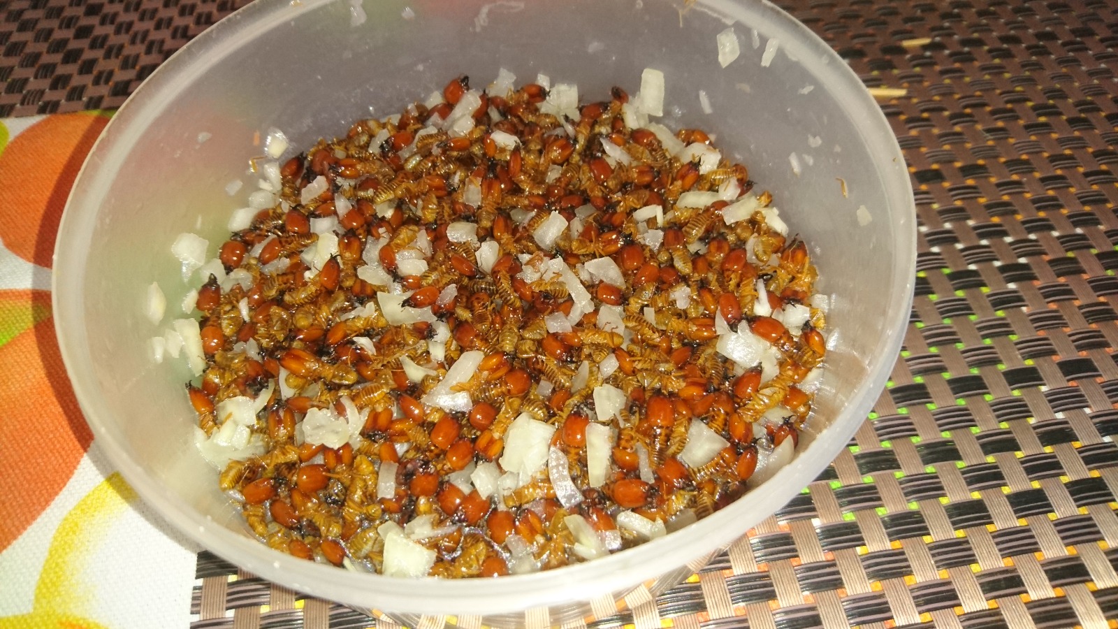 Makenene termites prepared as food in Angola
