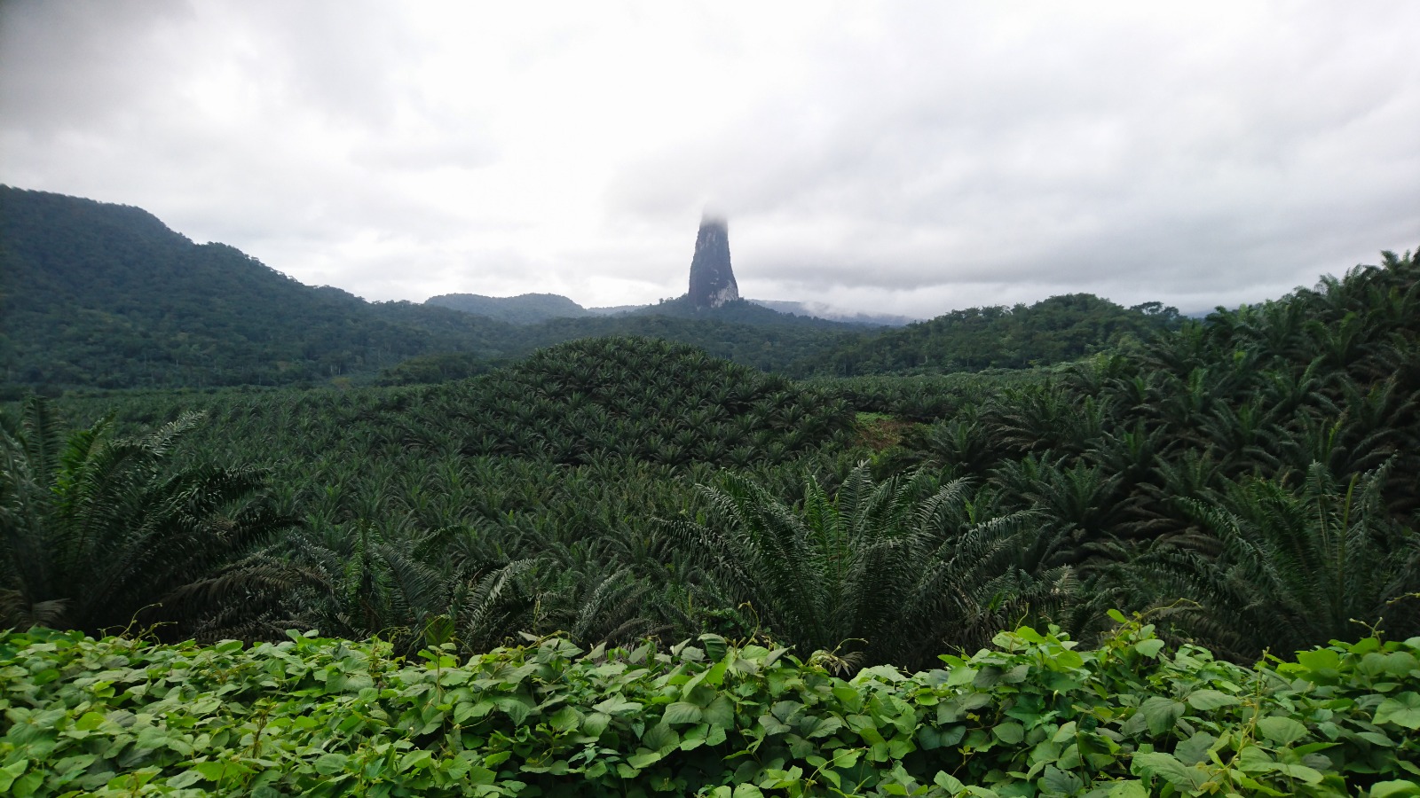 Pico Cão Grande in São Tomé